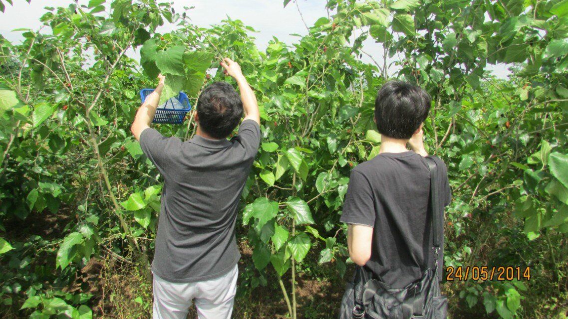 QQ图片20150521121404.jpg QQ图片20150521121404.jpg