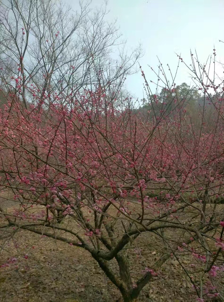 419179675413747072.jpg 419179675413747072.jpg